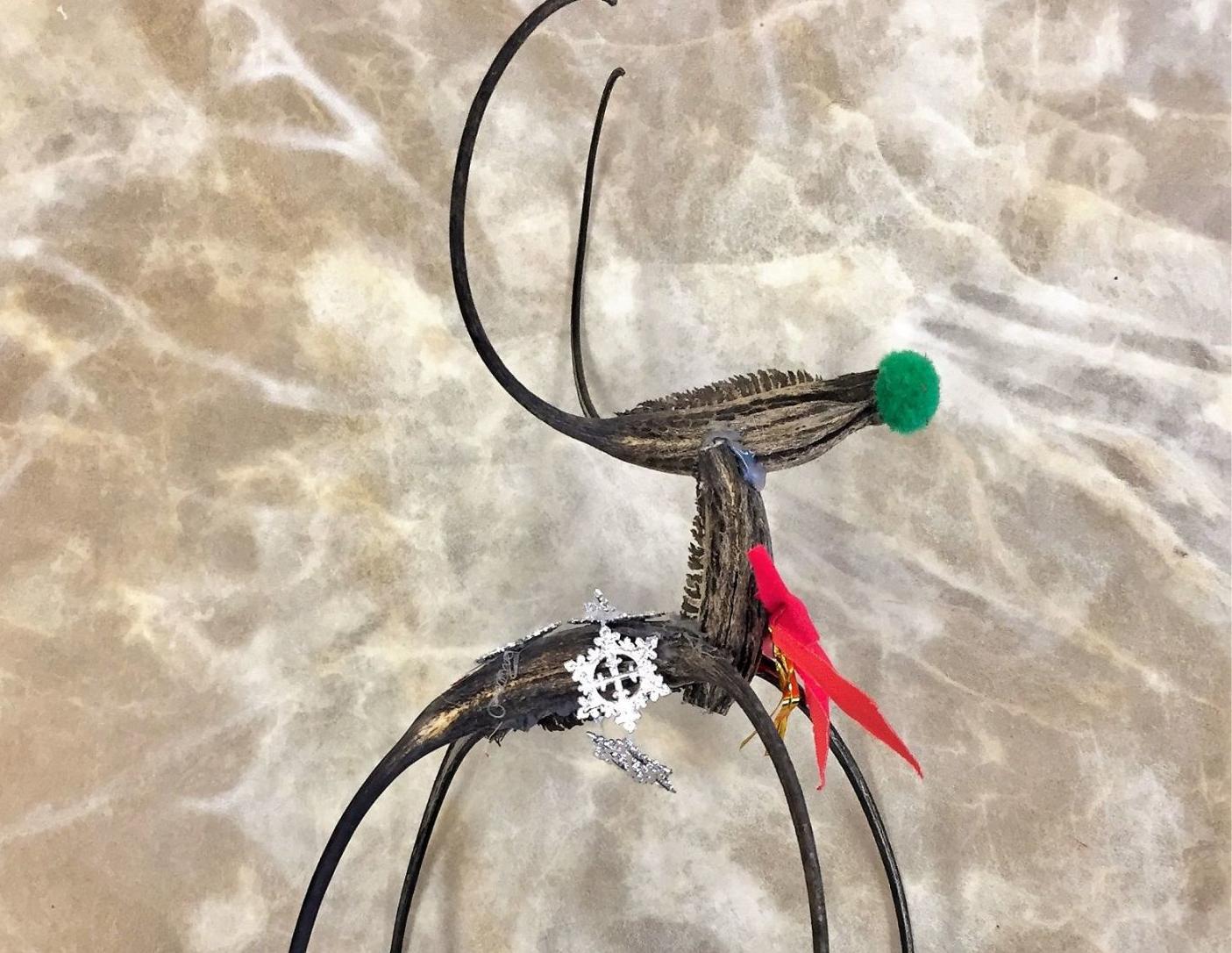 Make Christmas Ornaments from Gourds, Pods and Devil's Claw — Mission Garden
